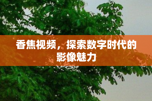 探索数字时代的影像魅力图片