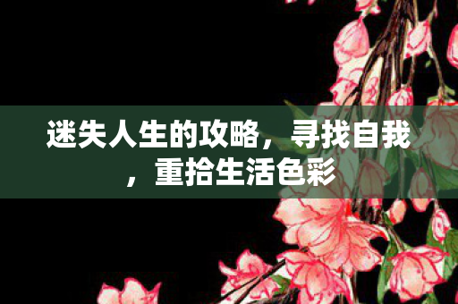 迷失人生的攻略图片