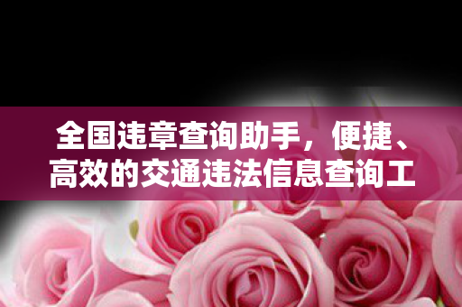 高效的交通违法信息查询工具图片