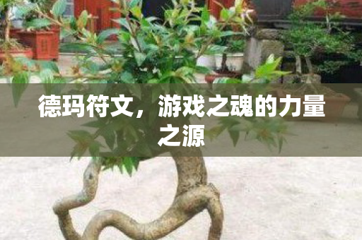 游戏之魂的力量之源图片