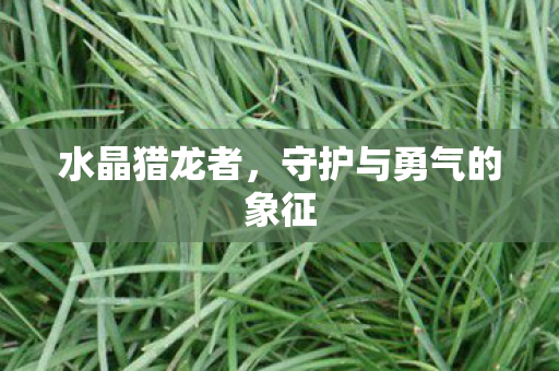 守护与勇气的象征图片