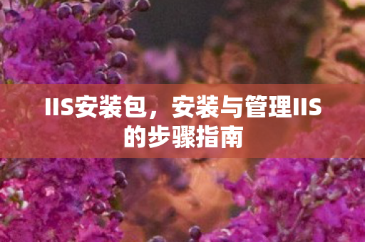 安装与管理IIS的步骤指南图片