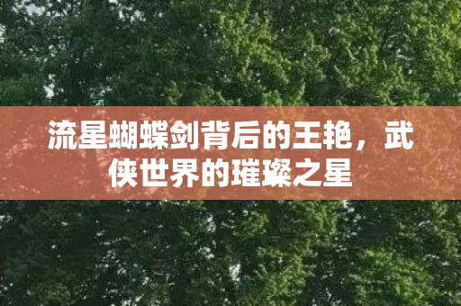流星蝴蝶剑背后的王艳图片