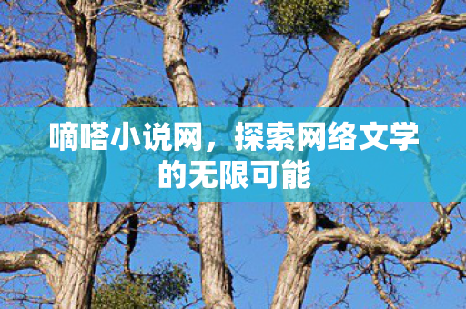 探索网络文学的无限可能图片