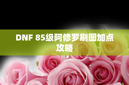 DNF 85级阿修罗刷图加点攻略图片