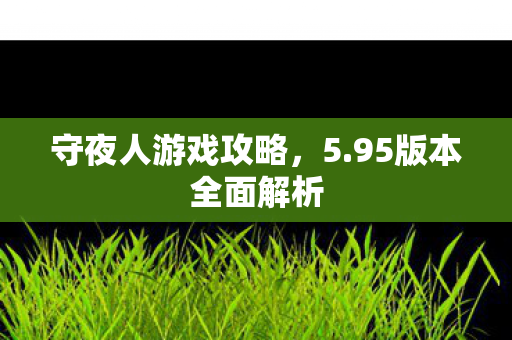 95版本全面解析图片