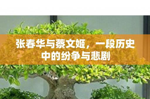 一段历史中的纷争与悲剧图片