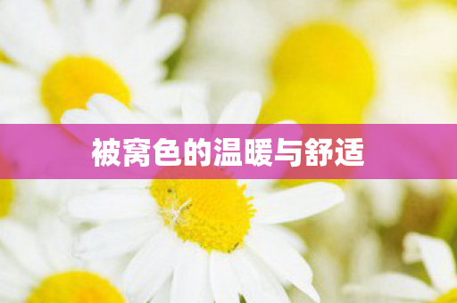 被窝色的温暖与舒适图片