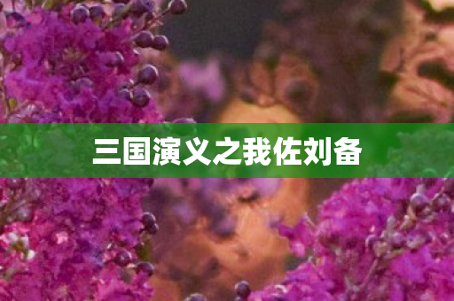 三国演义之我佐刘备图片