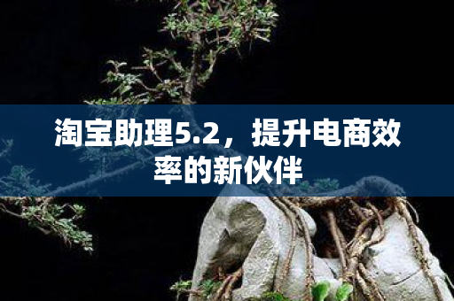 提升电商效率的新伙伴图片