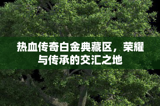 荣耀与传承的交汇之地图片