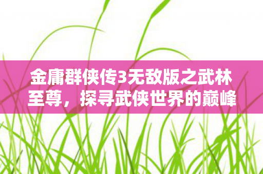 金庸群侠传3无敌版之武林至尊图片