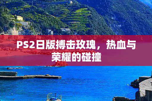 PS2日版搏击玫瑰图片