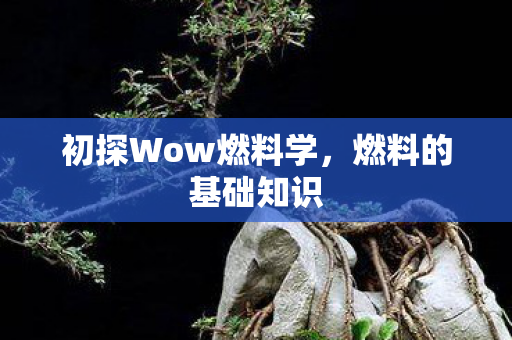 初探Wow燃料学图片