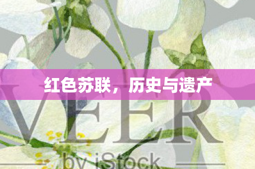 历史与遗产图片