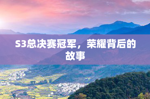 S3总决赛冠军图片