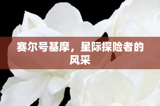 星际探险者的风采图片