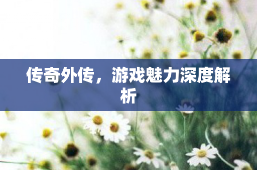 游戏魅力深度解析图片