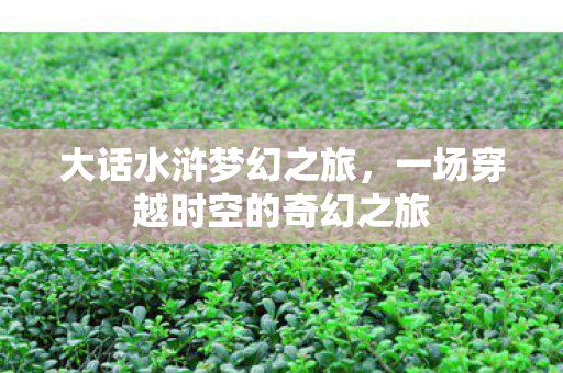 一场穿越时空的奇幻之旅图片