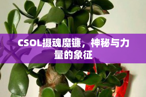 CSOL摄魂魔镰图片