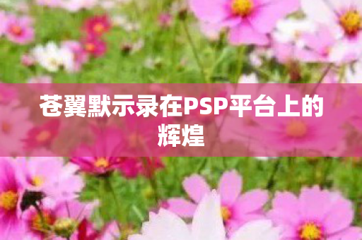 苍翼默示录在PSP平台上的辉煌图片