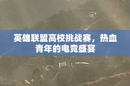 英雄联盟高校挑战赛图片