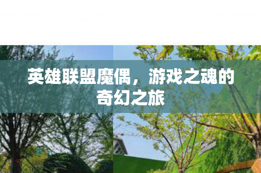 游戏之魂的奇幻之旅图片
