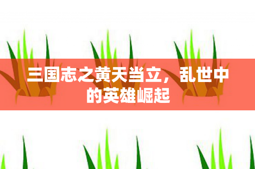 三国志之黄天当立图片