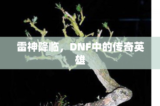 DNF中的传奇英雄图片