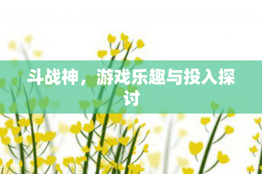 游戏乐趣与投入探讨图片