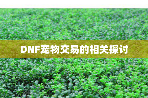 DNF宠物交易的相关探讨图片