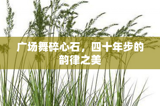 四十年步的韵律之美图片