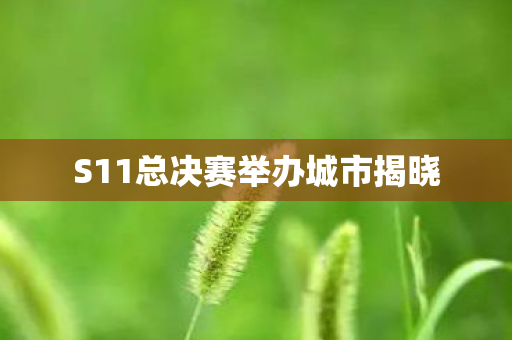 S11总决赛举办城市揭晓图片