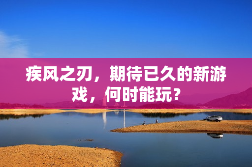 期待已久的新游戏图片