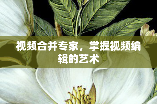 掌握视频编辑的艺术图片