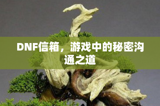 游戏中的秘密沟通之道图片