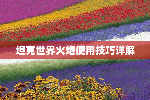 坦克世界火炮使用技巧详解图片
