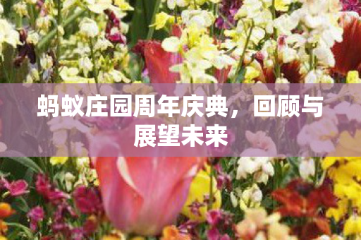 蚂蚁庄园周年庆典图片