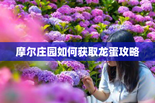 摩尔庄园如何获取龙蛋攻略图片