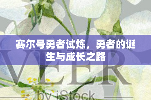 勇者的诞生与成长之路图片