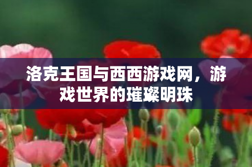 洛克王国与西西游戏网图片