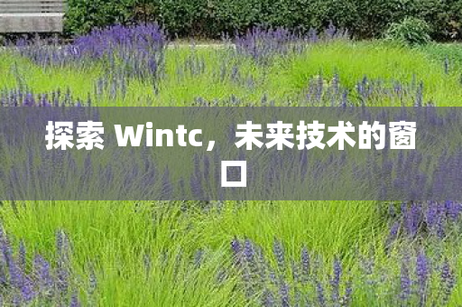探索 Wintc图片