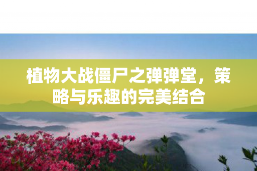 植物大战僵尸之弹弹堂图片