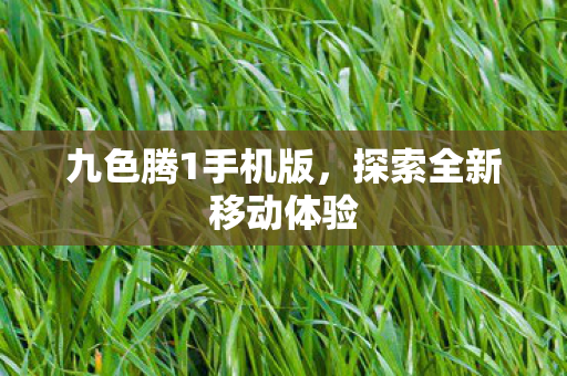 探索全新移动体验图片