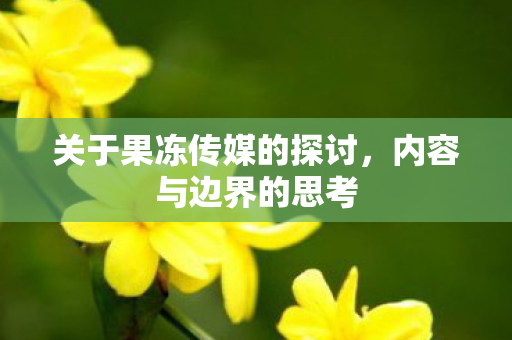 关于果冻传媒的探讨图片