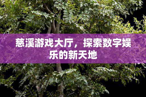 探索数字娱乐的新天地图片