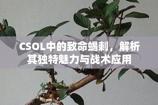 解析其独特魅力与战术应用图片