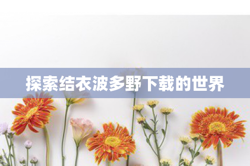 探索结衣波多野下载的世界图片