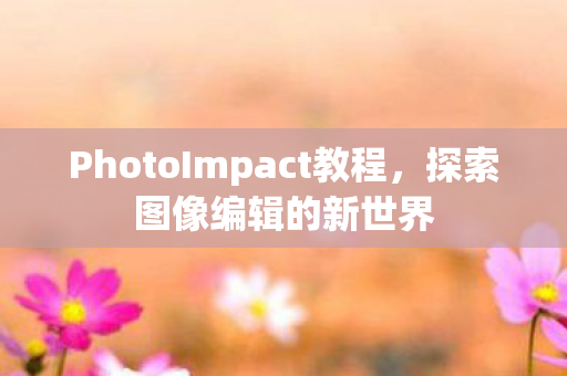 PhotoImpact教程图片