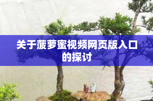 关于菠萝蜜视频网页版入口的探讨图片